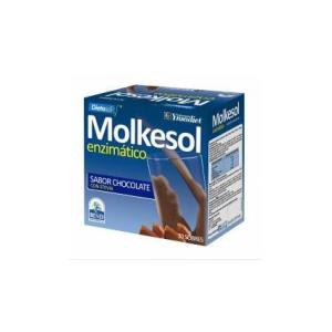 MOLKESOL enzimatico chocolate 30sbrs.