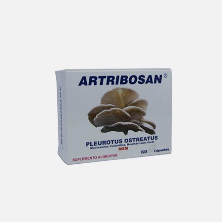 Artribosan – 60 cápsulas – Natural y eficaz