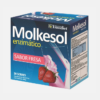 Molkesol enzimático Fresa - 30 sobres - Ynsadiet