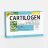 Cartilogen Elastic - 20 ampollas - DietMed