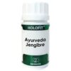 HOLOFIT AYURVEDA jengibre 50cap.