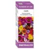 FLOWER OF LIFE culpa 15ml.