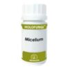 HOLOFUNGI micelium 180cap.