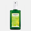 Desodorante Spray de Citrus - 100ml - Weleda
