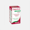 Colestroforte - 60 comprimidos - Health Aid