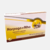 Harpago + Ajo - 20 ampollas - DaliPharma