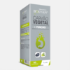 Biokygen Carbón vegetal + Hinojo - 60 comprimidos - Fharmonat