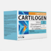 Cartilogen Cartilagens - 30 sobres - DietMed