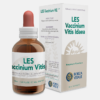 LES Vaccinium Vitis Idaea - 50ml - FORZA VITALE