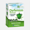 Defensas Cannabis - 30 cápsulas - Ynsadiet