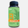 Boswellia - 60 cápsulas - Dharma Botanicals