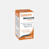 Gastone - 60 cápsulas - Health Aid
