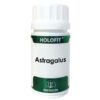 HOLOFIT ASTRAGALUS 50cap.