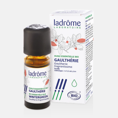 AE Wintergreen Gaultheria fragrantissima Bio – 10ml – Ladrôme