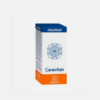 Holoram Cerevitan - 60 cápsulas - Equisalud