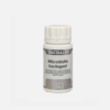 Microbiota Lactagest - 60 cápsulas - Equisalud