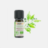 Aceite Esencial Canela Corteza 60% Bio - 5ml - Florame