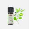 Cinnamomum Camphora Aceite esencial de alcanfor de hoja silvestre - 10ml - Florame