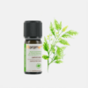 Aceite esencial Alcanfor Wild Wood Cinnamomum Camphora - 10ml - Florame