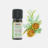 Aceite Esencial de Cipreses Cupressus Sempervirens - 10ml - Florame