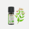 Aceite Esencial de Clavo Eugenia Caryophyllus - 10ml - Florame