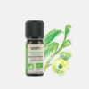 Aceite Esencial Eucalipto Citriodora Eucalyptus Citriodora - 10 ml - Florame