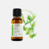 Aceite Esencial Eucalipto Eucalyptus Radiata - 30ml - Florame