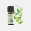 Aceite Esencial Eucalipto Eucalyptus Radiata - 10ml - Florame
