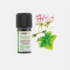 Aceite Esencial Geranio Bourbom Pelargonium Graveolens ORG - 5ml - Florame