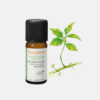 Aceite esencial Gaultheria procumbens - 10ml - Florame