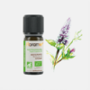 Aceite Esencial de Menta Mentha piperita - 10ml - Florame