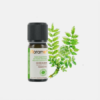 Incienso de aceite esencial Boswellia carterii - 5ml - Florame