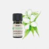Aceite esencial de jazmín Jasminum grandiflorum - 1ml - Florame