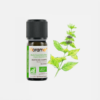 Aceite esencial Menta Mentha Arvensis - 10ml - Florame