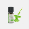 Aceite Esencial Menta Verde Mentha spicata - 5ml - Florame