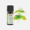 Aceite Esencial Patchouli Pogostemon cablin - 10ml - Florame
