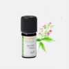 Aceite Esencial Palisandro Aniba rosaedora - 5ml - Florame