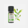 Aceite Esencial Ravintsara Cinnamomum Camphora - 10ml - Florame
