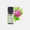 Aceite Esencial Rosa Absolute Rosa damascena - 5ml - Florame