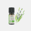 Aceite Esencial Salvia Lavandulifolia - 5ml - Florame