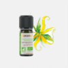 Cananga odoratissima Aceite Esencial de Ylang-Ylang - 5ml - Florame