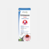 Physalis Echinacea Forte Jarabe - 150ml - Bioceutica