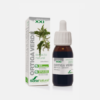 Ortiga verde extracto natural - 50 ml - Soria Natural