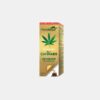 Aceite de semilla de cannabis 900mg - 30 + 20ml gratis - Phytogold