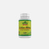 Ginkgo Biloba 60 mg - 120 cápsulas - Vitaminas alfa