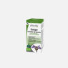 Salvia Española Aceites esenciales - 10ml - Physalis