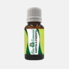 Aceite Esencial de Menta - 20ml - FJ Campos