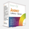 Ânimo Griffonia + Bacopa - 30 ampollas - Bioceutica