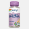 Boswellia 450mg - 60 cápsulas - Solaray