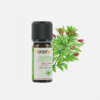 Sándalo Amyris balsamifera - 10ml - Florame